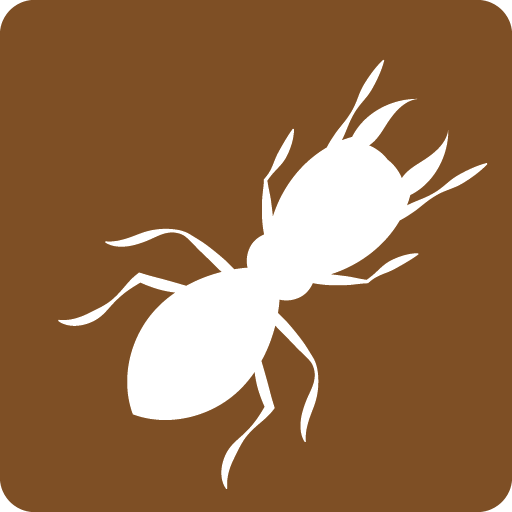 picto Diagnostic termites